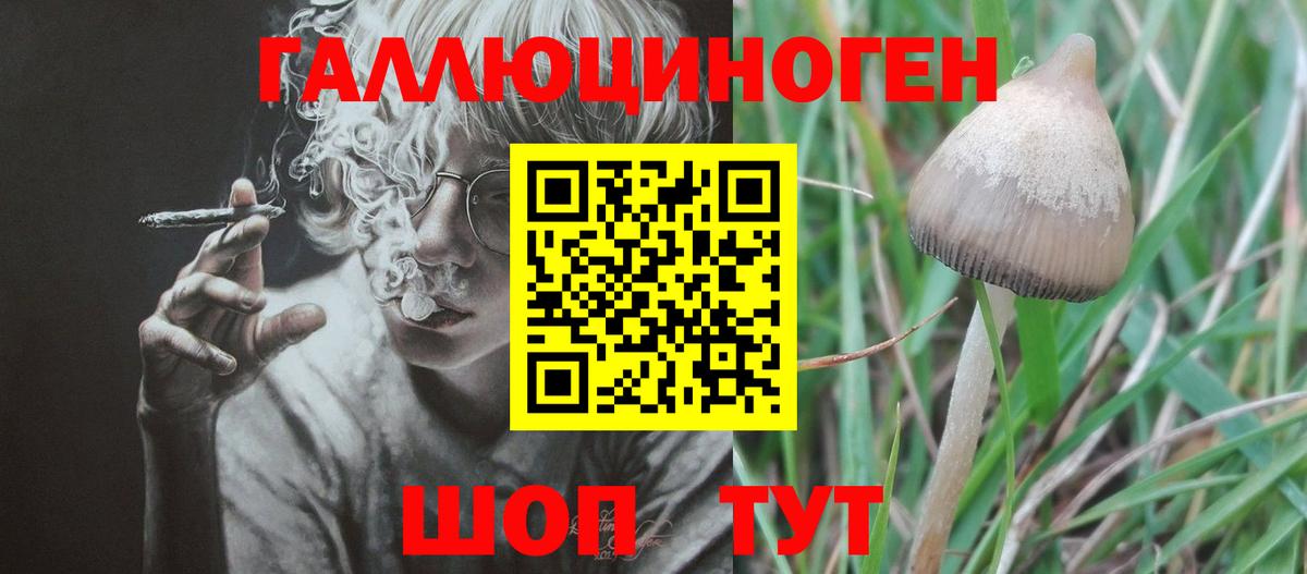 Псилоцибиновые грибы MAGIC MUSHROOMS Ульяновск